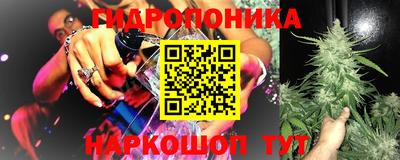 кокс Нальчик