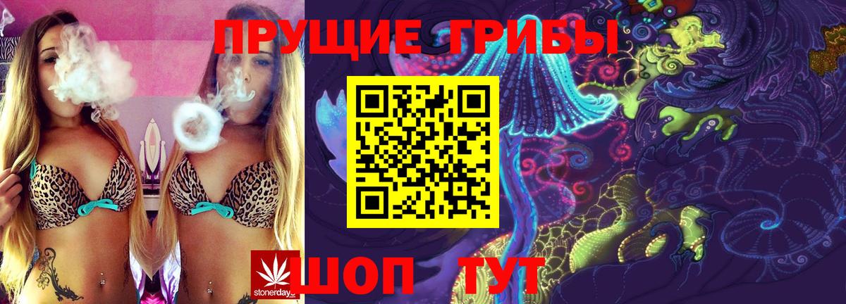 Ставрополь  Галлюциногенные грибы Magic Shrooms  Вход с VPN 